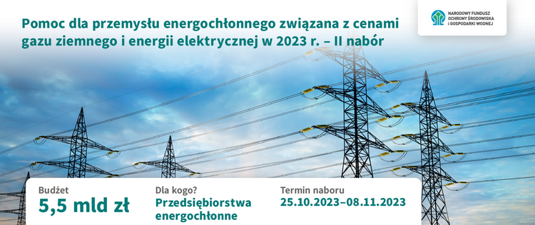 Dyckerhoff Poland has received assistance under a government program called: "Aid to energy-intensive sectors related to natural gas and electricity prices in 2023."